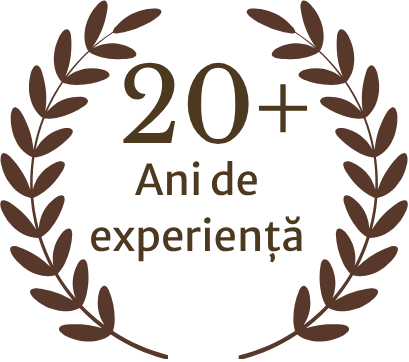 20+ ani de experiență