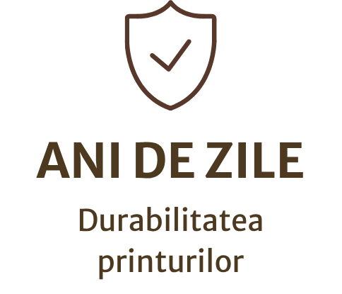 Durabilitatea printurilor pentru ani de zile